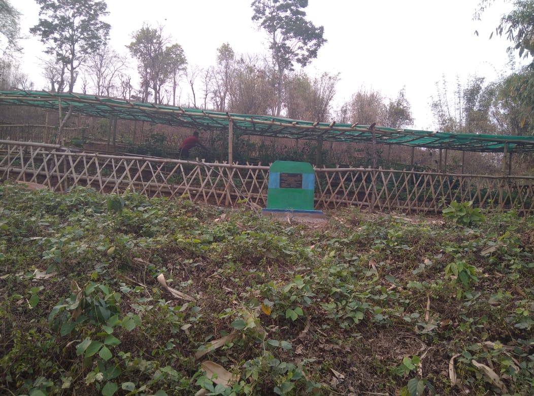 G:\Medical Leave Gordon\VILLAGE REPORT PICTURES\JIRANG BLOCK\Sohkyrbam rim\3.Nursery\WhatsApp Image 2023-03-24 at 17.13.30.jpeg